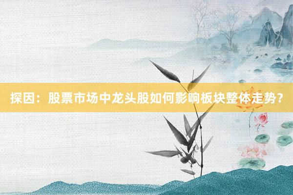 探因：股票市场中龙头股如何影响板块整体走势？