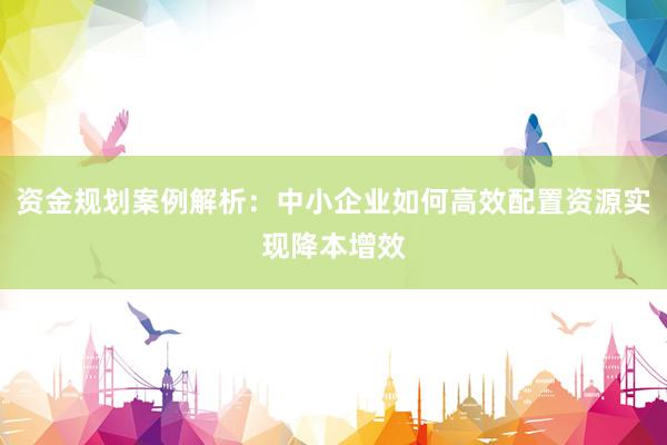 资金规划案例解析：中小企业如何高效配置资源实现降本增效